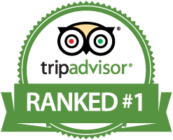 North Cape Sightseeing Tour ranked Number 1 on TripAdvisor