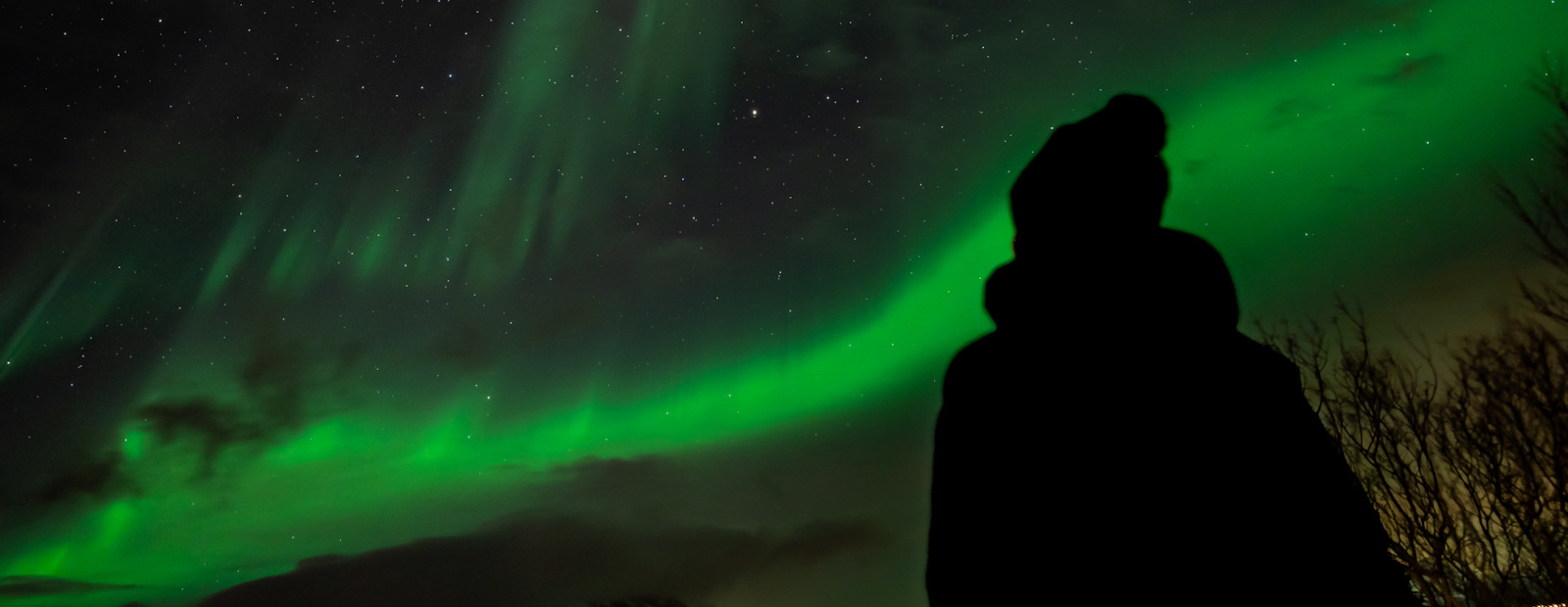 nothern_lights_tour_tromso_aurora_in_focus_english_guide_norway_night_sky