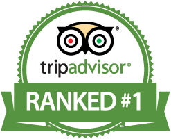 North Cape Sightseeing Tour clasificado como Numero 1 en TripAdvisor